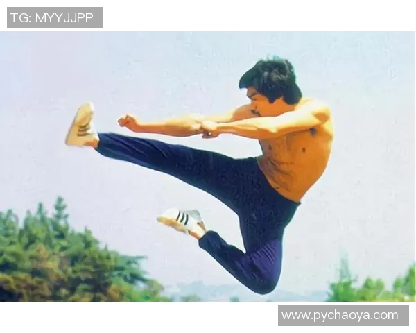 专访杨强：深入探讨排球运动背后的成功秘诀与训练哲学