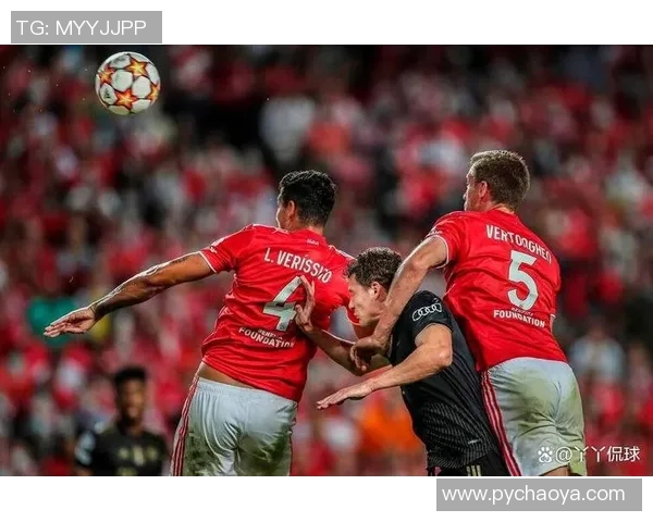 拜仁慕尼黑与本菲卡激战正酣比赛结果揭晓引发热议