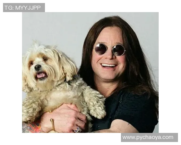 斯通斯的音乐传奇与文化影响力探讨：从摇滚巨星到时代象征的演变之路