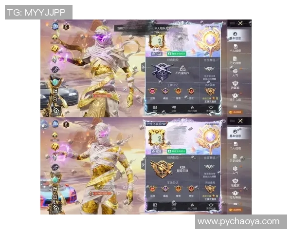 陈芳独家揭秘和平精英游戏技巧与心得分享助你轻松上分