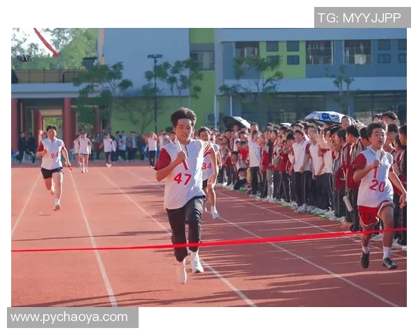 黄静独家分享飞盘技巧与心得体会助你轻松掌握这项运动的乐趣与魅力