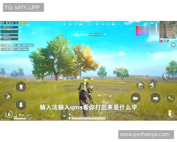 和平精英热议RNG耐力争议背后的真相与影响分析