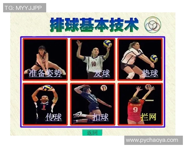 南京排球队转换体系的战术分析与实践探索